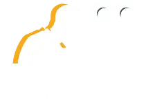 2DB STUDIO FILMS